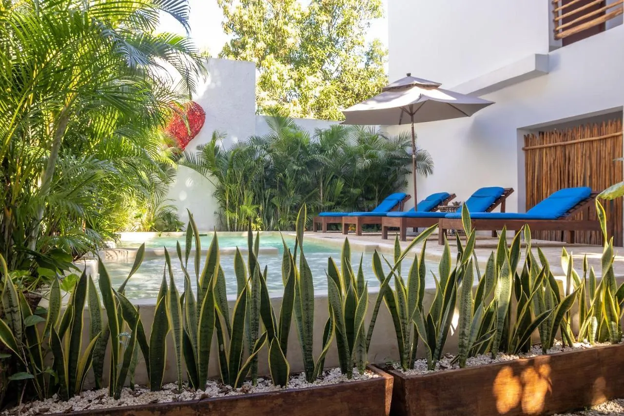 Kaab Boho Hotell Tulum